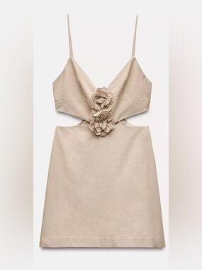 Zara Beige Floral Cutout Mini Dress beige